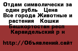 Отдам символически за один рубль › Цена ­ 1 - Все города Животные и растения » Кошки   . Башкортостан респ.,Караидельский р-н